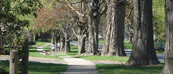 Wethersfield Neighborhood Streetscape